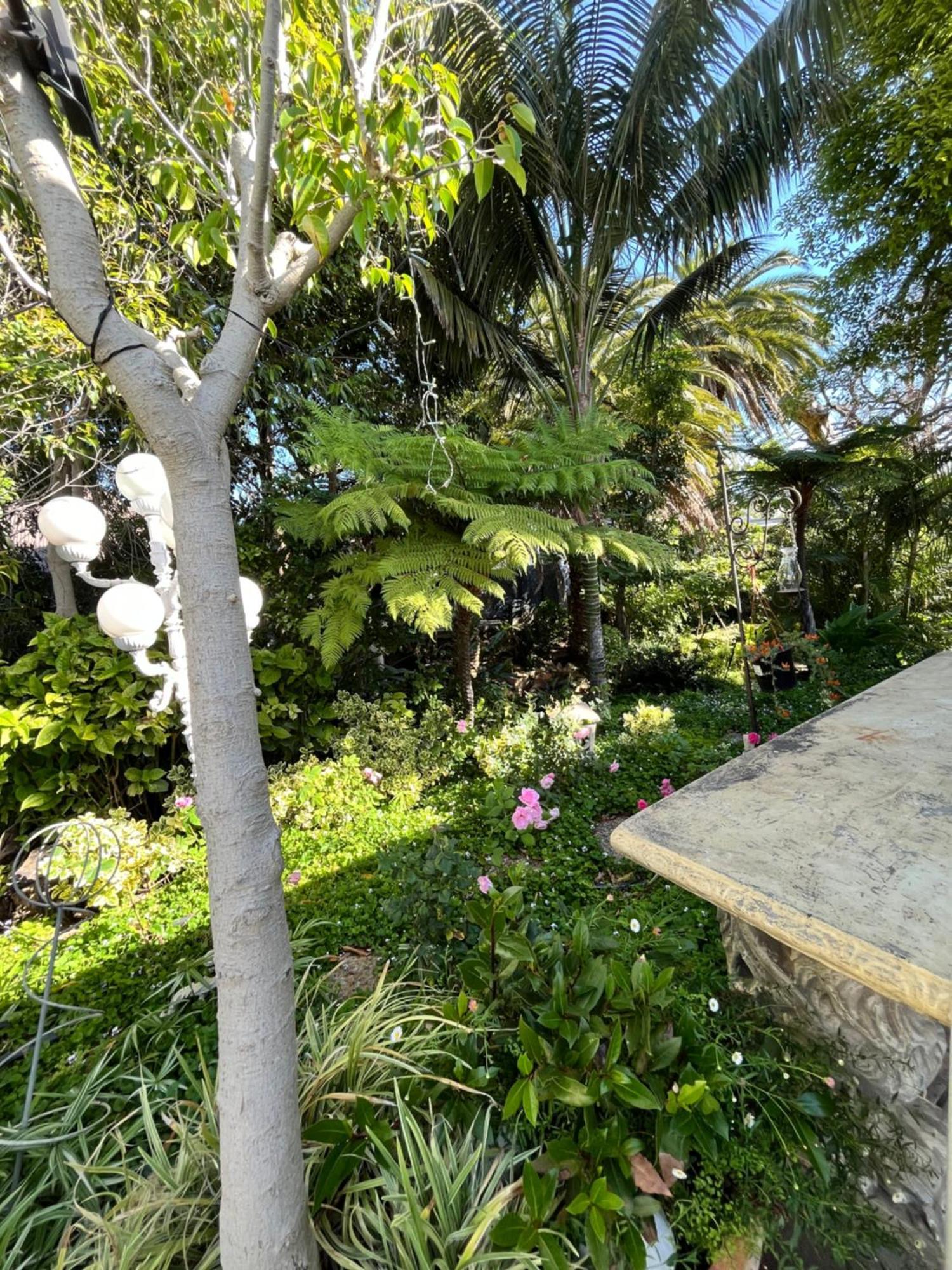 Somerset West Garden Apartments 1 מראה חיצוני תמונה