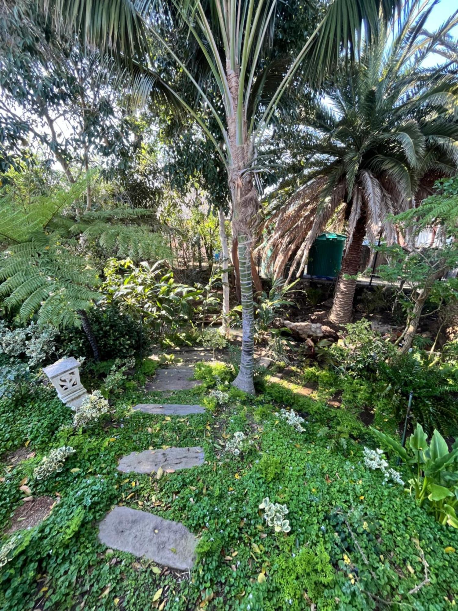 Somerset West Garden Apartments 1 מראה חיצוני תמונה