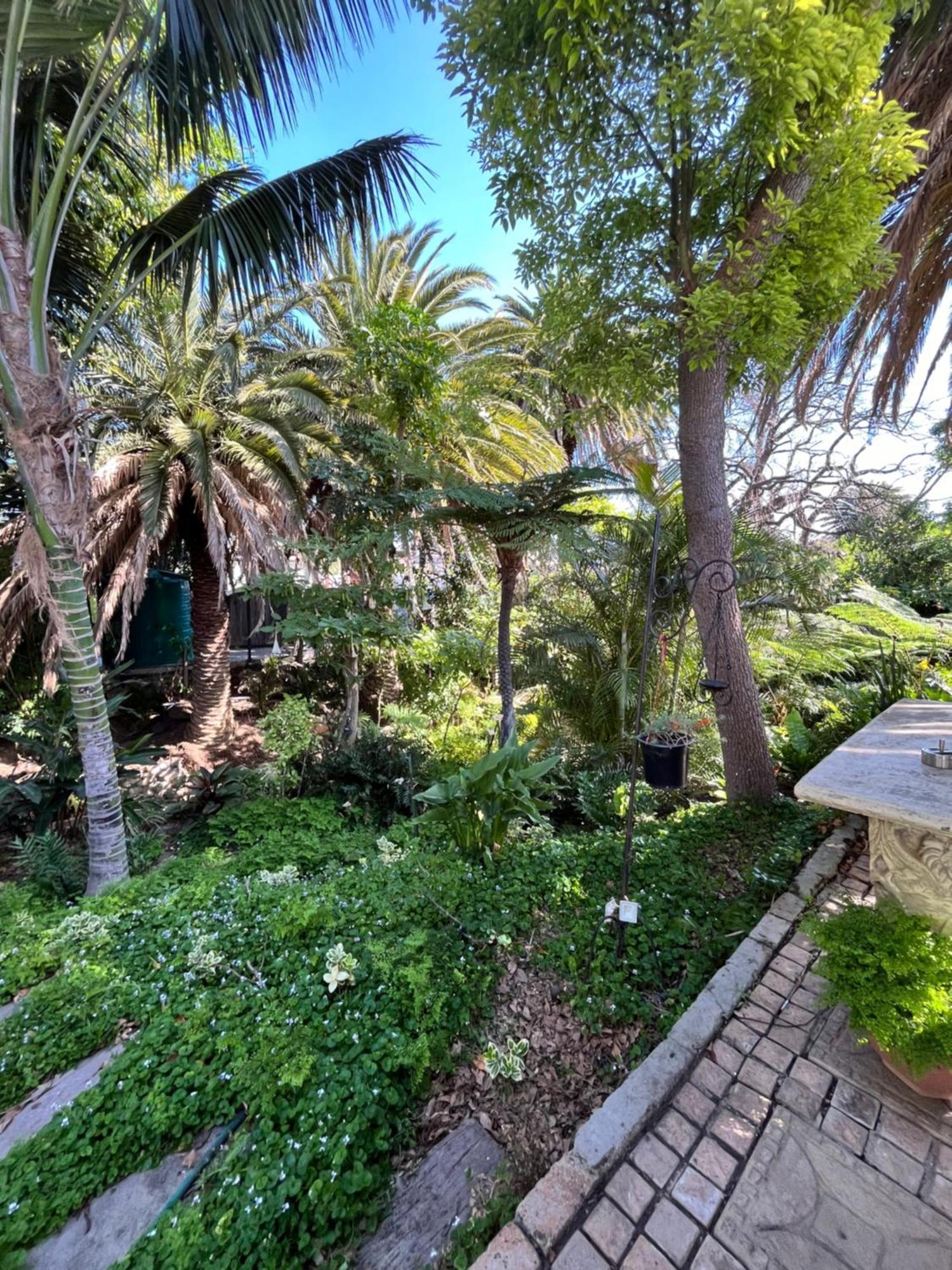 Somerset West Garden Apartments 1 מראה חיצוני תמונה